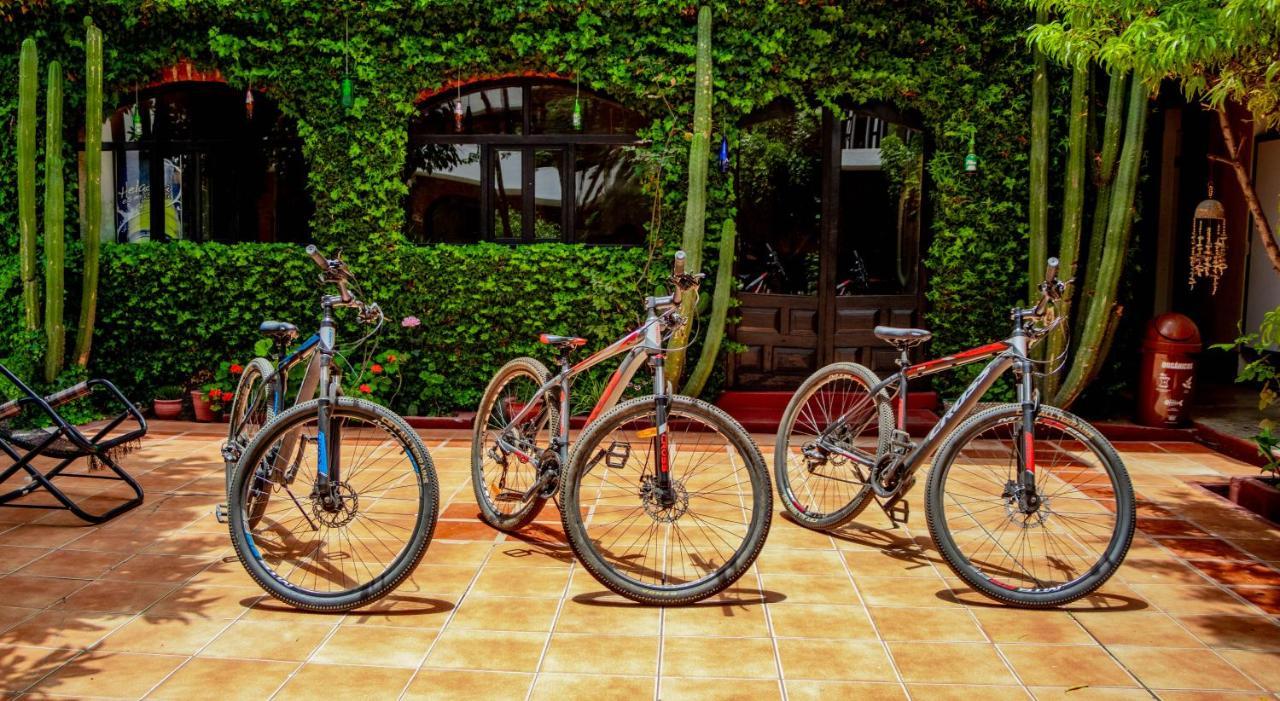Huaraz Colonial Hostel Luaran gambar